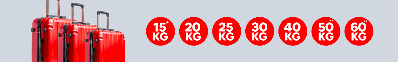 Checked Baggage Banner