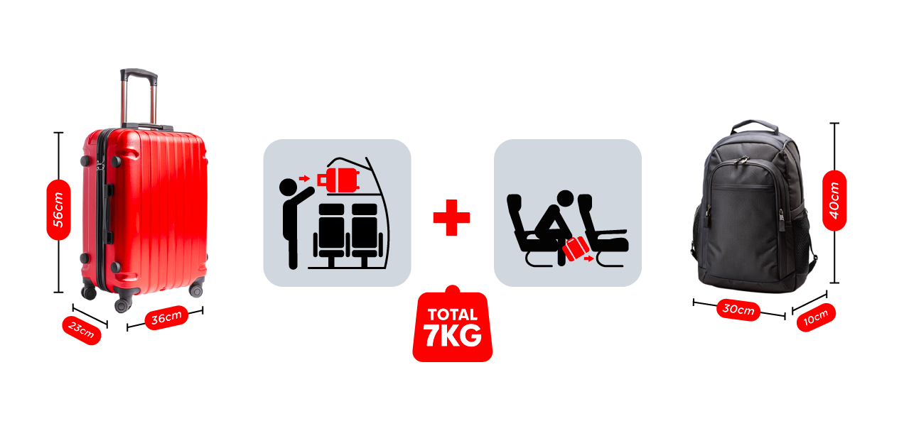 Baggage Icon